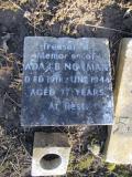 image of grave number 381129